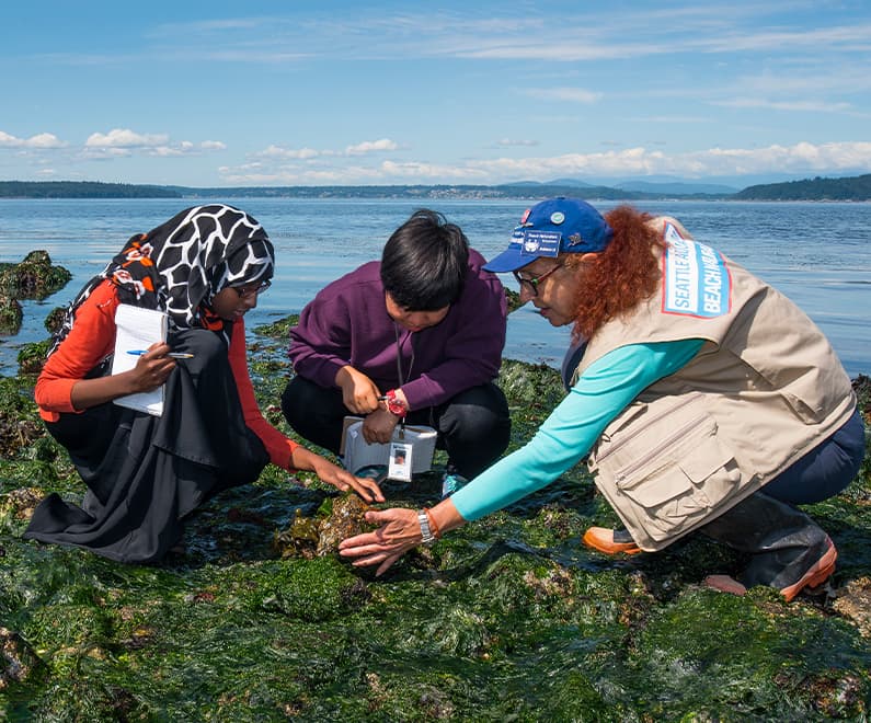 A Beach Naturalist volunteer crouching along the shore with two children.