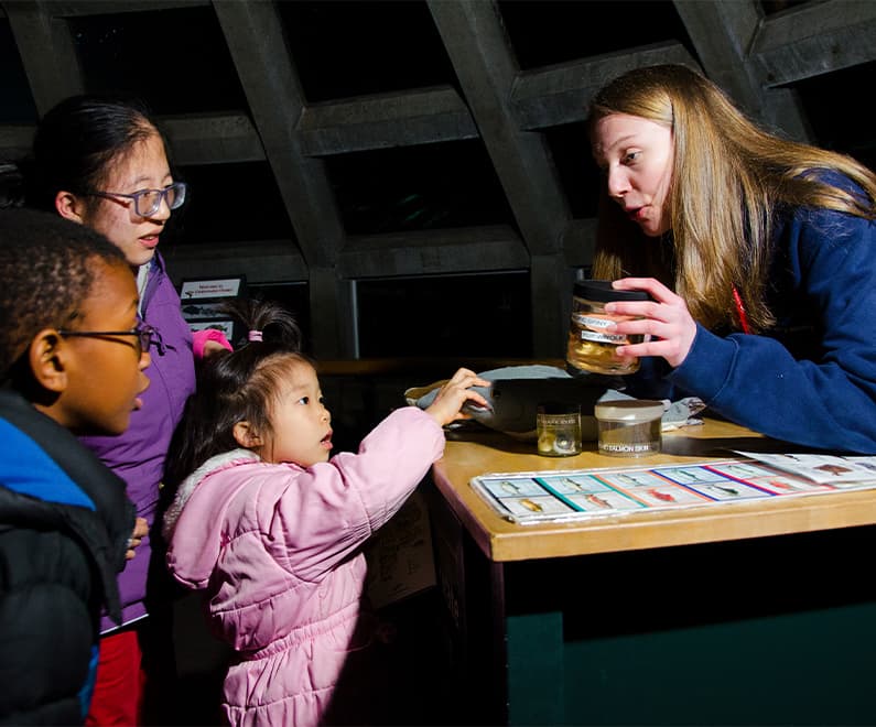 A Seattle Aquarium volunteer speaking to a child.