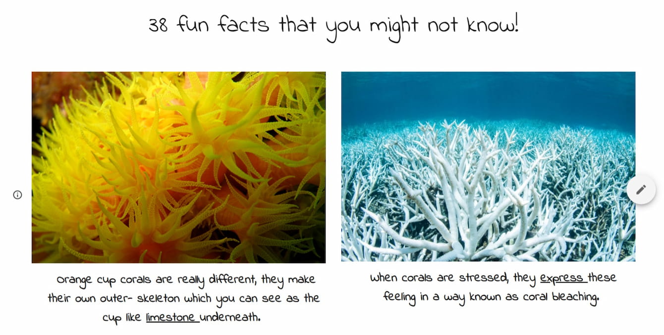 A screenshot of Talbot Elementary's coral website. The screenshots features fun facts about corals.