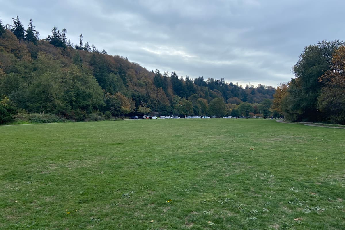 There is a large grassy area at the far end of the park.