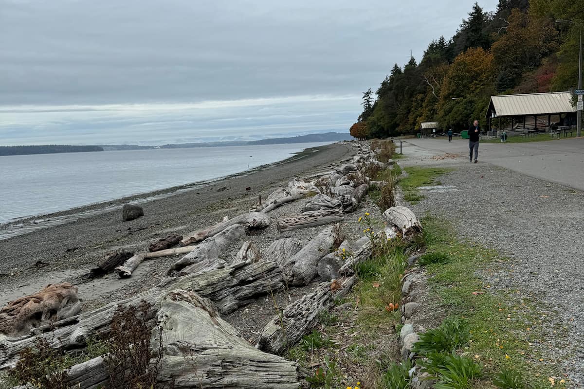Logs on the beach that students will have to navigate in order to reach the waterline.
