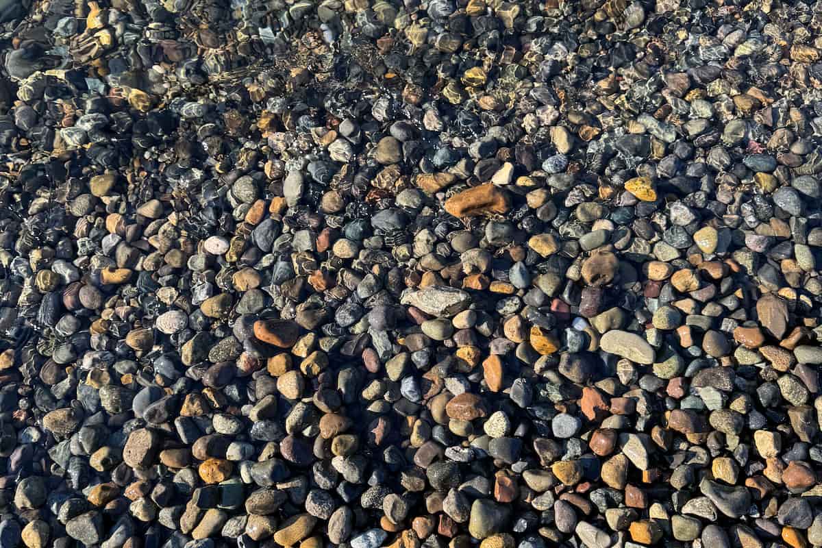 Example of the cobble substrate present at this beach.