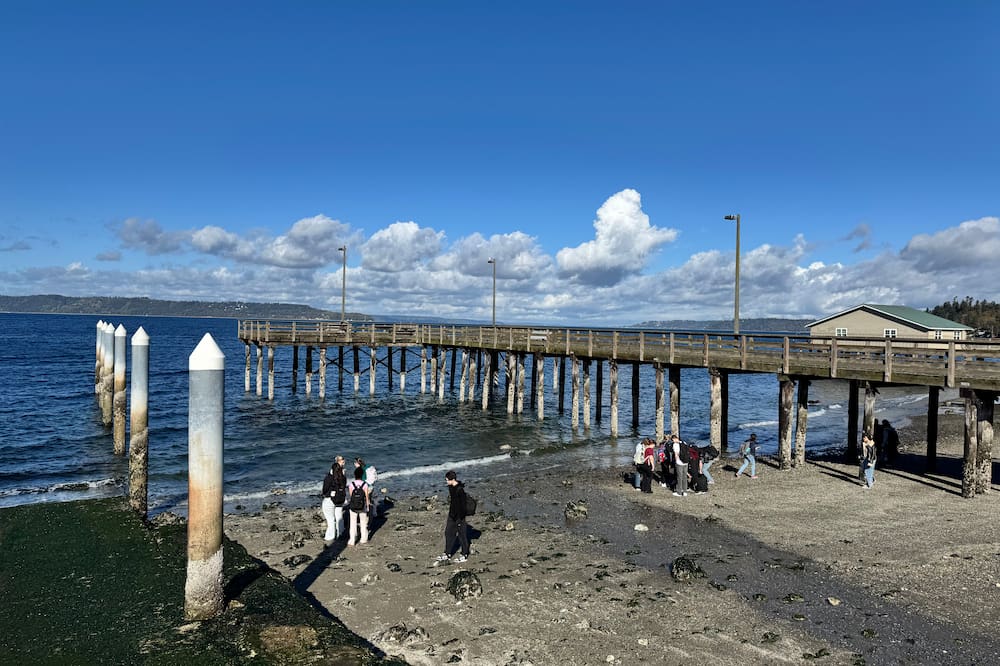 View of the beach and pier from above on the boardwalk.