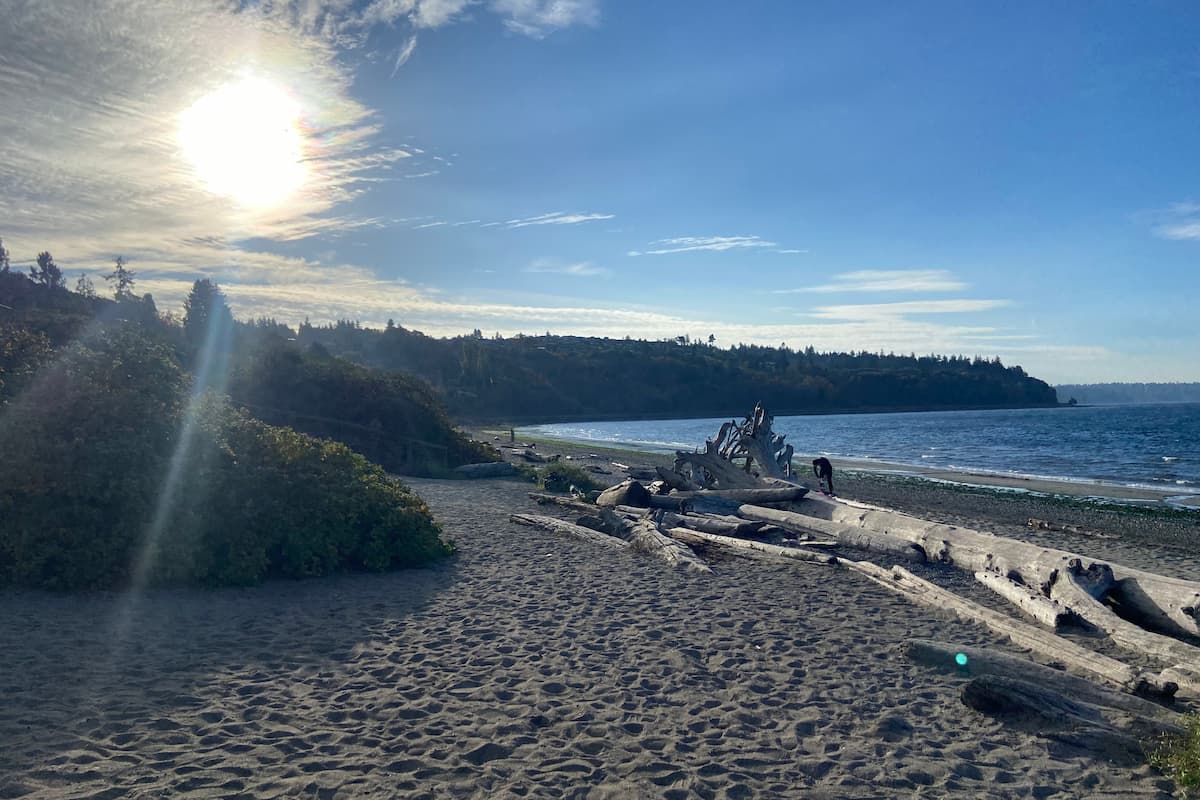 Logs on the beach that students will have to navigate in order to reach the waterline.