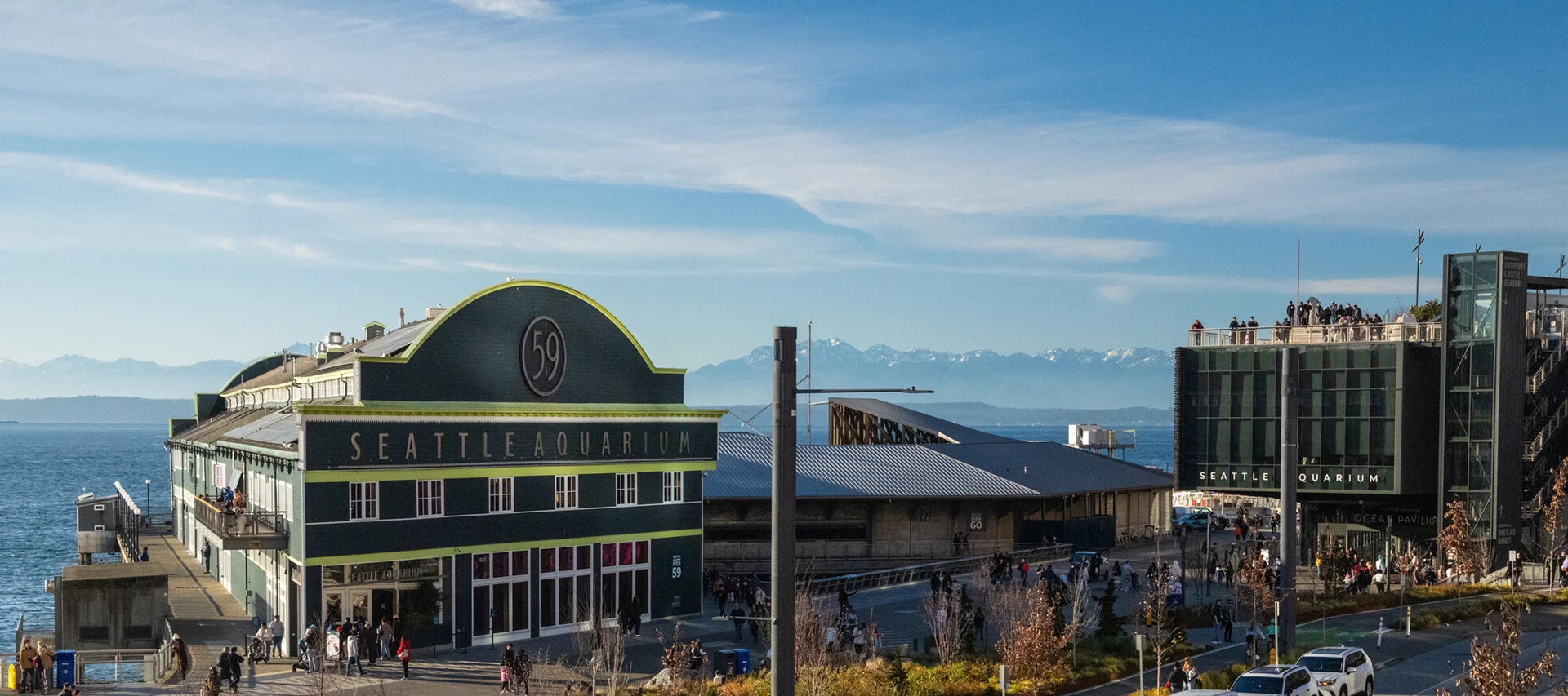 Seattle Aquarium's three buildings, Pier 58, Pier 59 and the Ocean Pavilion against the backdrop of Elliot Bay and Olympic Mountain range in the distance on a sunny day. Crowds of people are walking along the waterfront.