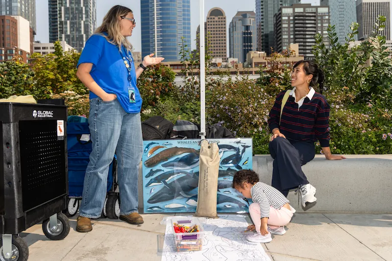 A woman a young child interact with a Seattle Aquarium staff member during free outdoor programming on the rooftop of the Ocean Pavilion building. The child is kneeling down over a large coloring sheet.