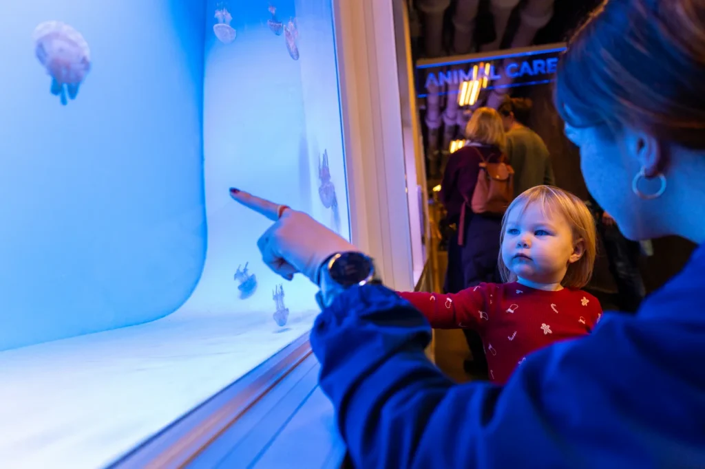 A caretaker and a child look closely at the jelly nursery at the Seattle Aquarium's Ocean Pavilion.